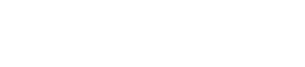 Witty Bizz Logo
